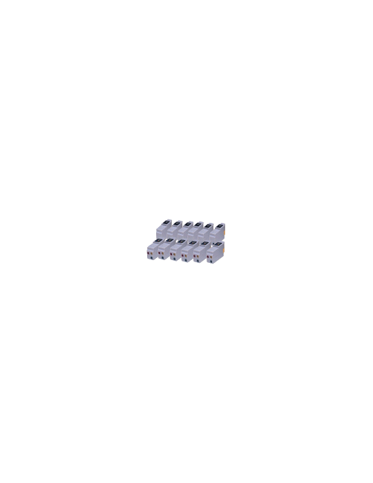 Cartouches BCI-21 - 10+2 GRATIS