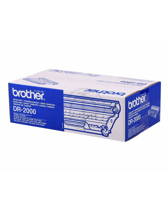 Tambour Brother DR 2000