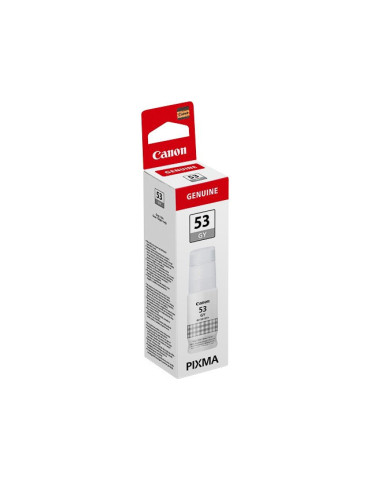 Canon Bouteille GI-53 Grise