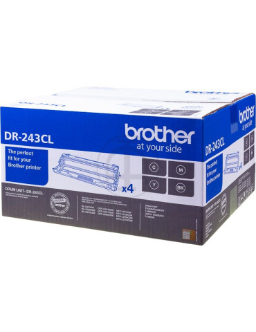 Drum Brother  DR-243CL
