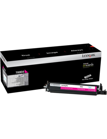 Toner Lexmark 700D3 DEVELOPER Magenta