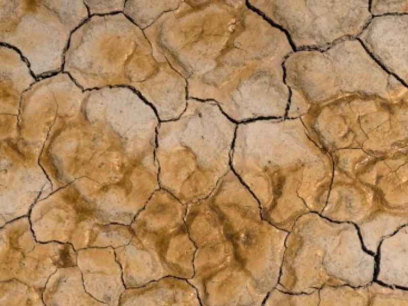 Que faire en cas de cartouche d'encre sèche ?