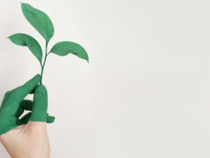 Comment recycler des cartouches d’encre et toners usagés ?